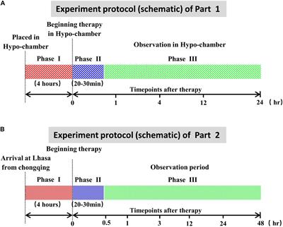 The Protective Effect of a Novel Cross-Linked Hemoglobin-Based Oxygen Carrier on Hypoxia Injury of Acute Mountain Sickness in Rabbits and Goats